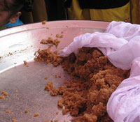 Pinni Prasad in golden temple amritsar